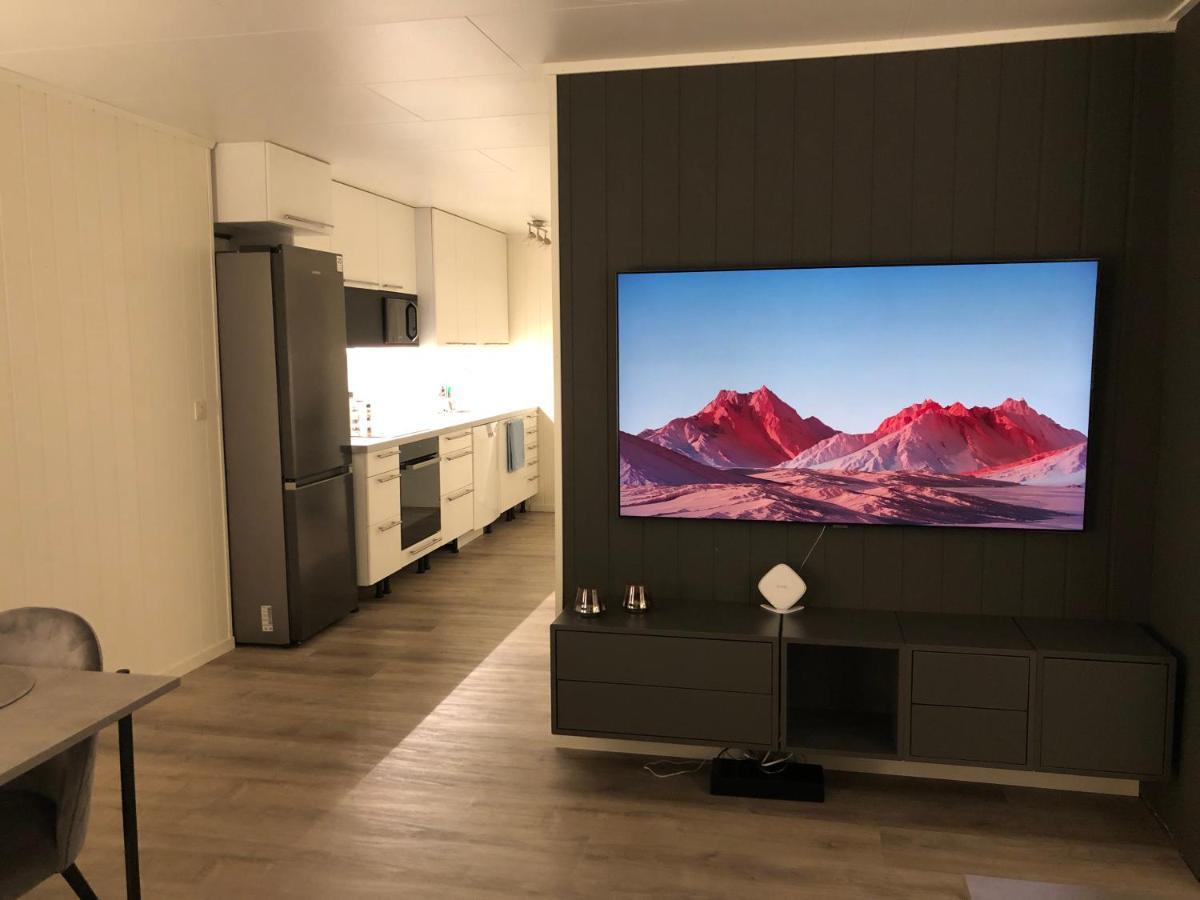 Moderne Og Trivelig Leilighet, Med Unik Utsikt Apartment