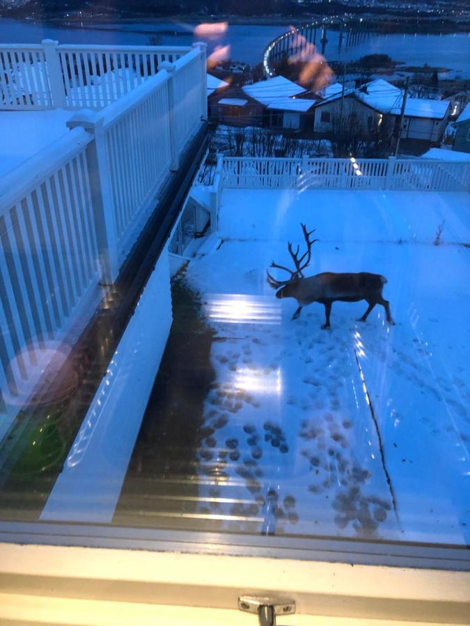 Apartment Moderne Og Trivelig Leilighet, Med Unik Utsikt *